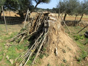 IMG_4909 (Medium)